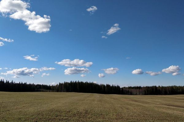kansikuva Tiimi
